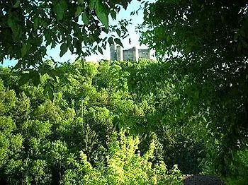 מלון Logis Le Belle Rive